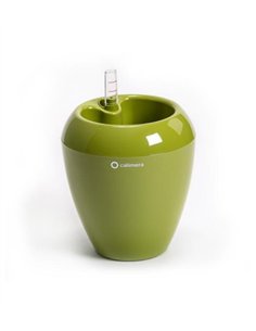 Maceta autoriego Calimera 17 cm color Verde REHAU
