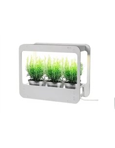 Germinador LED Smart Garden REHAU