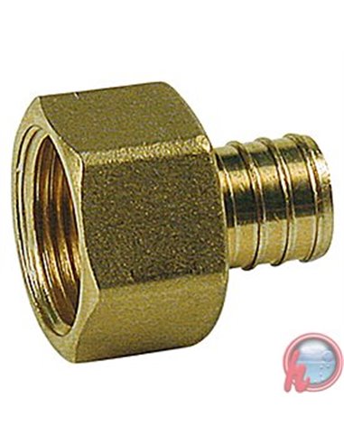 Racor recto Rosca hembra 1/2"x1/2" Giacomini