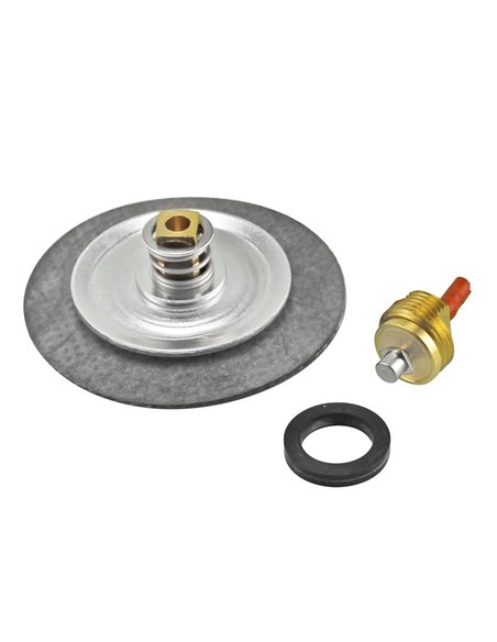 Kit de reparacion de regulador 7740-15 TAP RITE